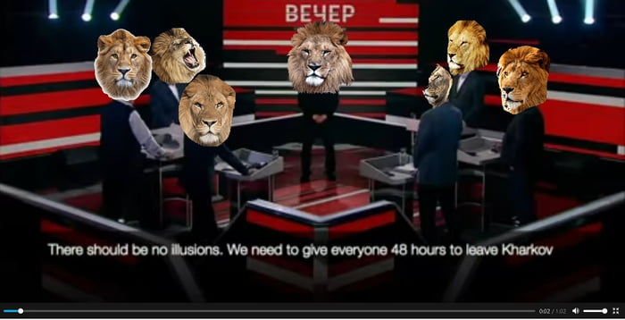 Every big news lion.