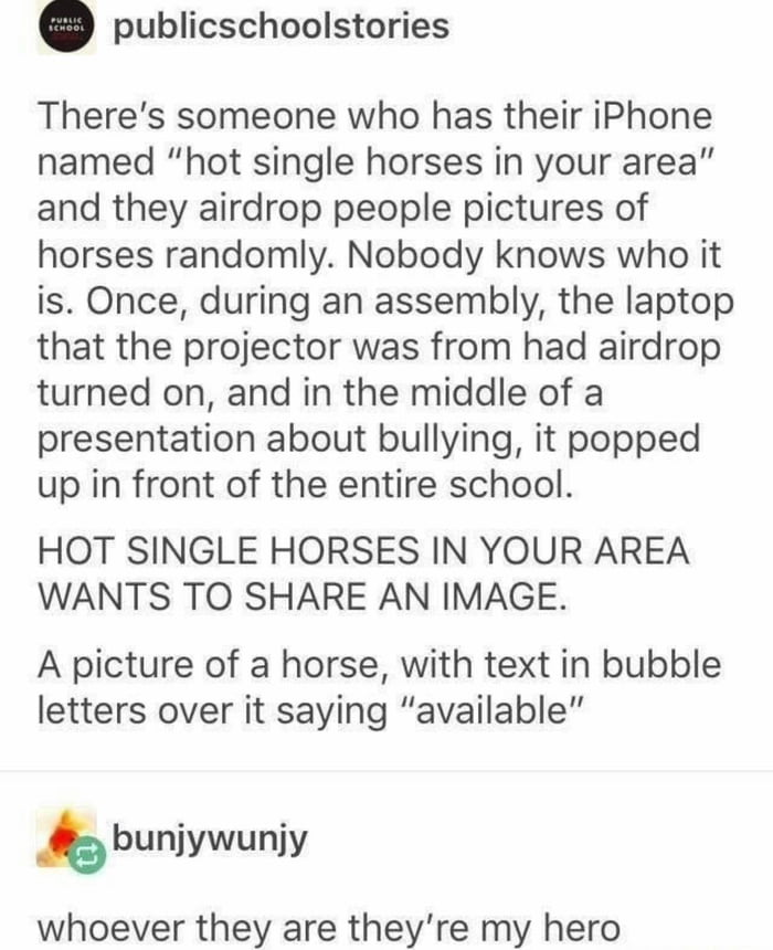 Whoever that horse person is, he/she is amazing