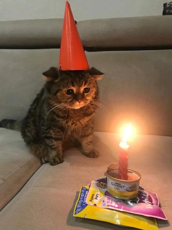 Its my birthday today....thanks for all the laughs 9gag