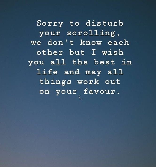 Sorry to disturb your scrolling