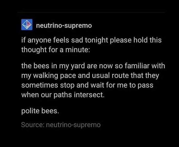 Polite Bees