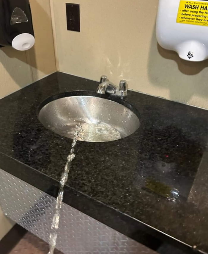 Are there any other sink pissers around here?