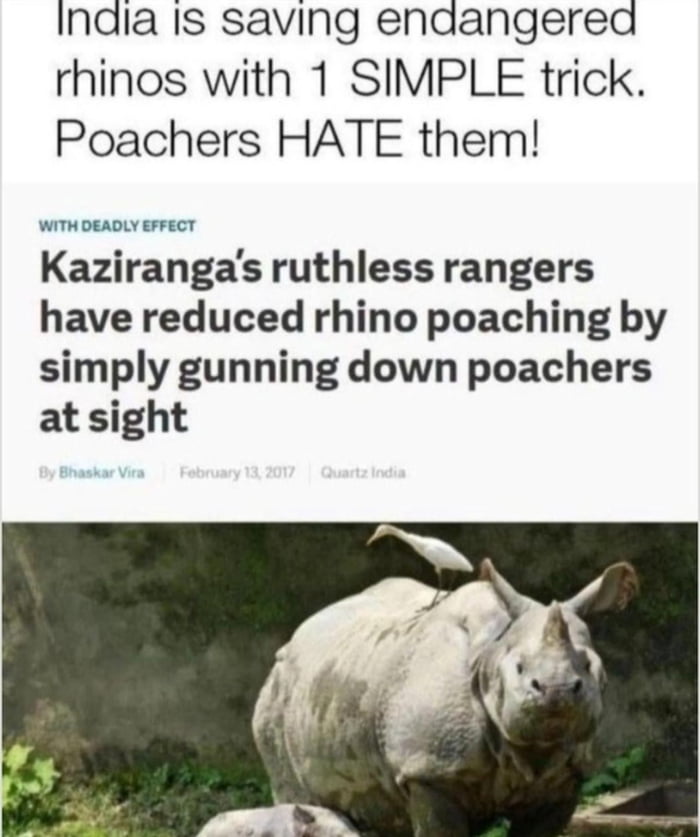 Saving endangered rhino with one simple trick