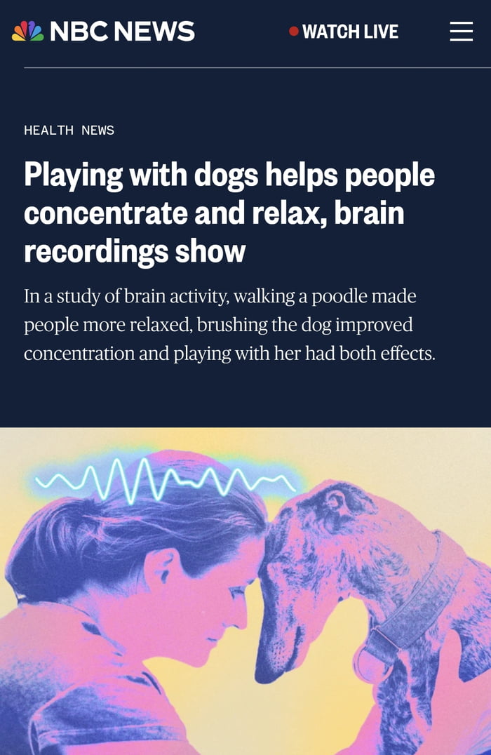 Need a study to tell you that petting a doggo is good for yo