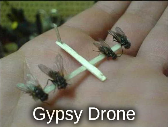Gypsy Drone