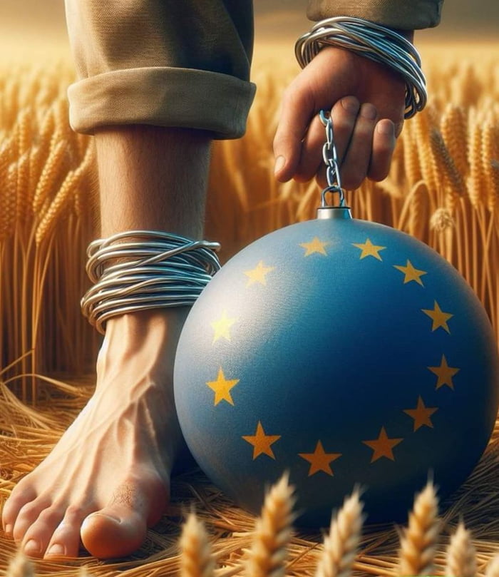 We need to leave the EU dictatorship