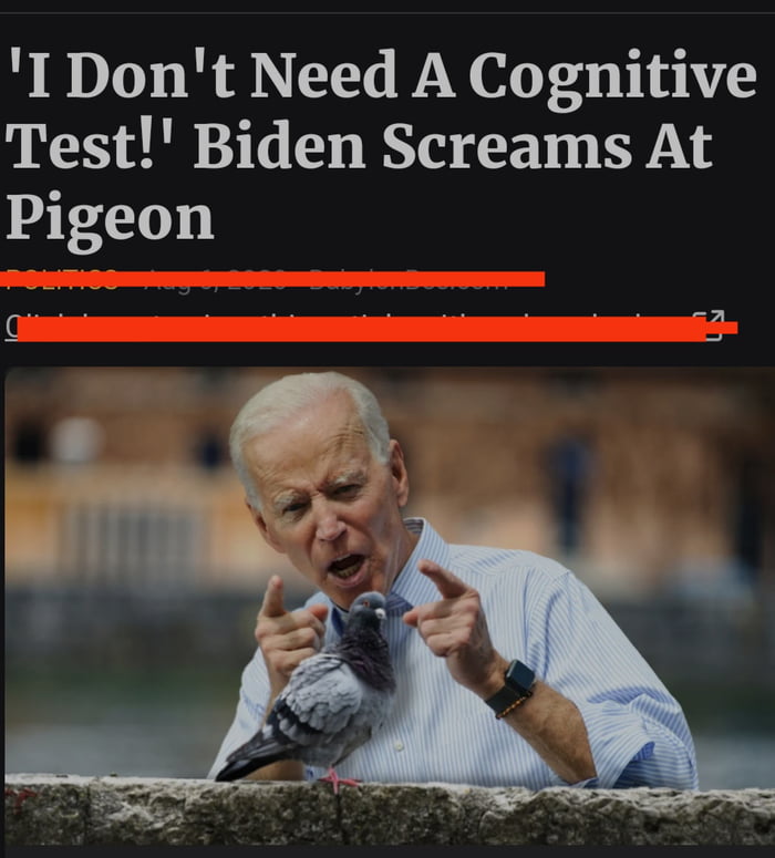 Damn you pigeon, going around teasing old people
