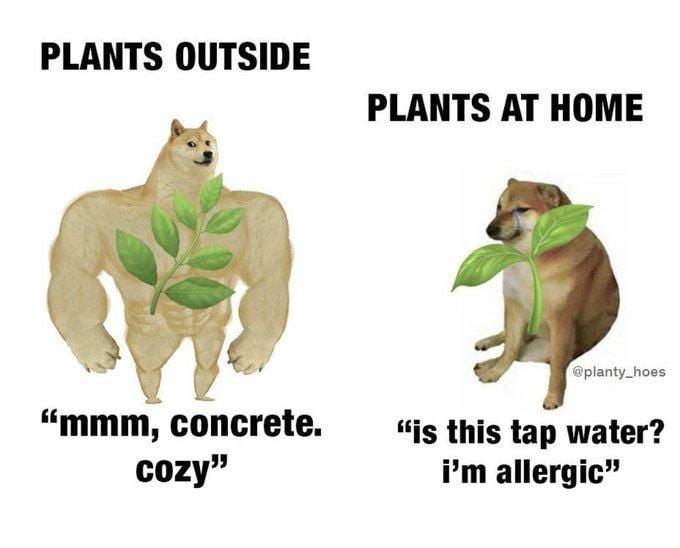 I dunno, plants and stuff, I guess.