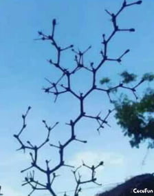 I particularly like this Chemis-tree.