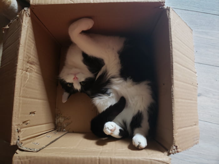 This Box isnt to smal human!