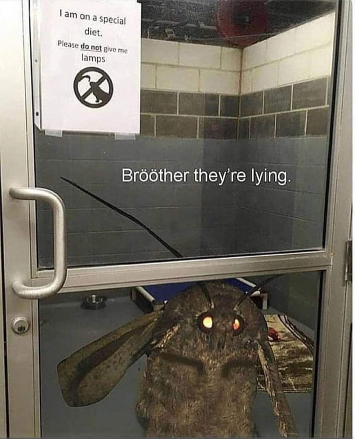 Gimme lamp bröther, just one
