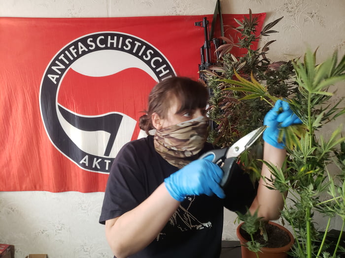 German Antifa do your job and stop smoking weed..