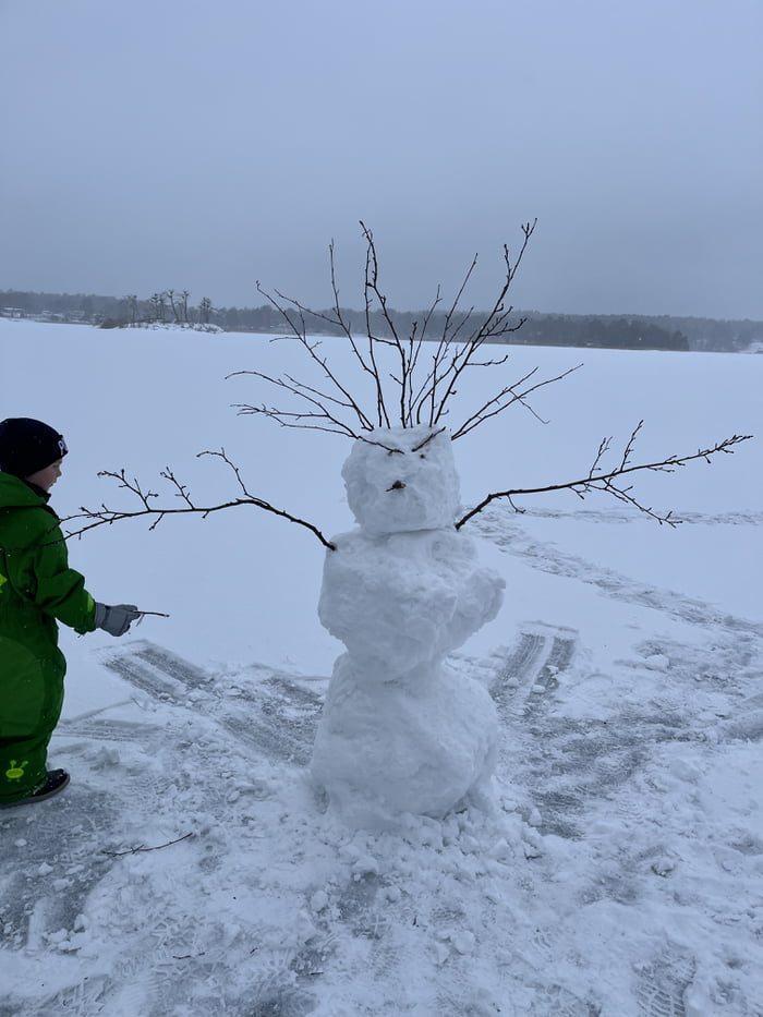 Told my kids to make a snowman-karen