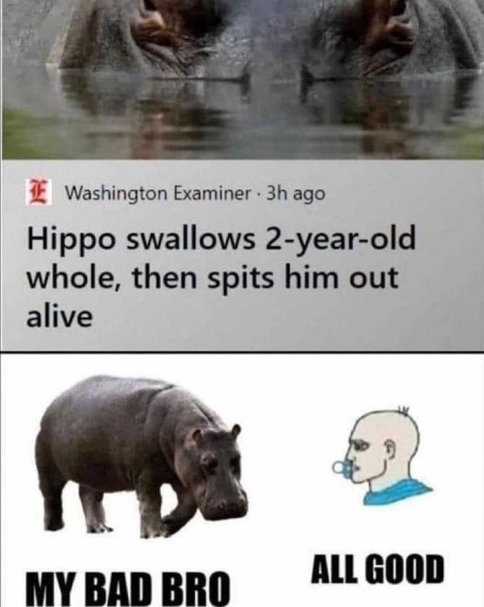 Not so hungry hungry hippo