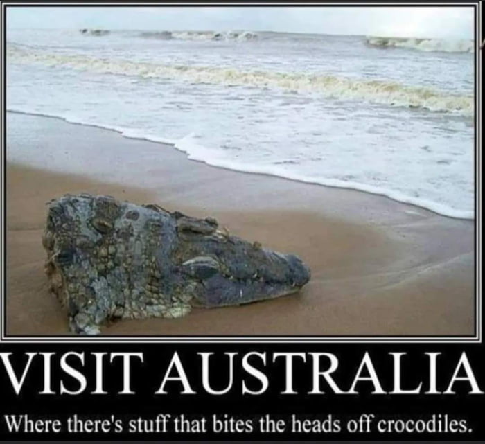 Visit Australia they said, it'll be fun they said