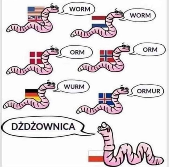 You had one task Poland
