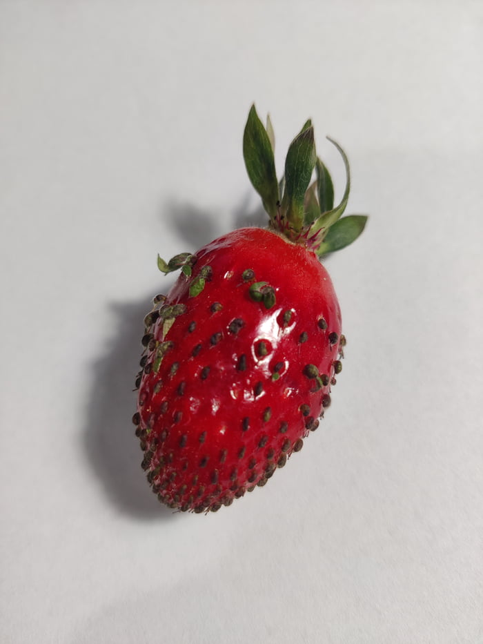 I just found this in a box of strawberries. You're welcome