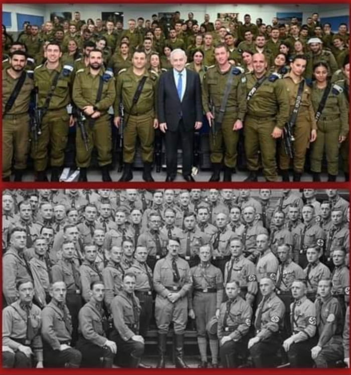 Zionazi before and after