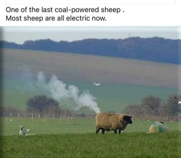 Ah, yes. I remember grandad buying coal to power his flock.