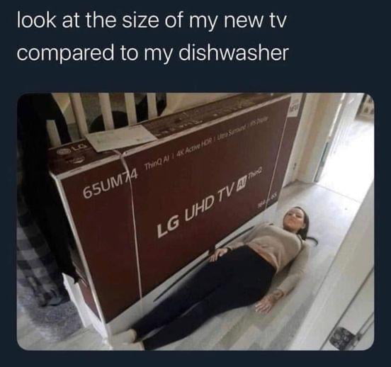 Give me the #bigtits dishwasher and keep the TV.