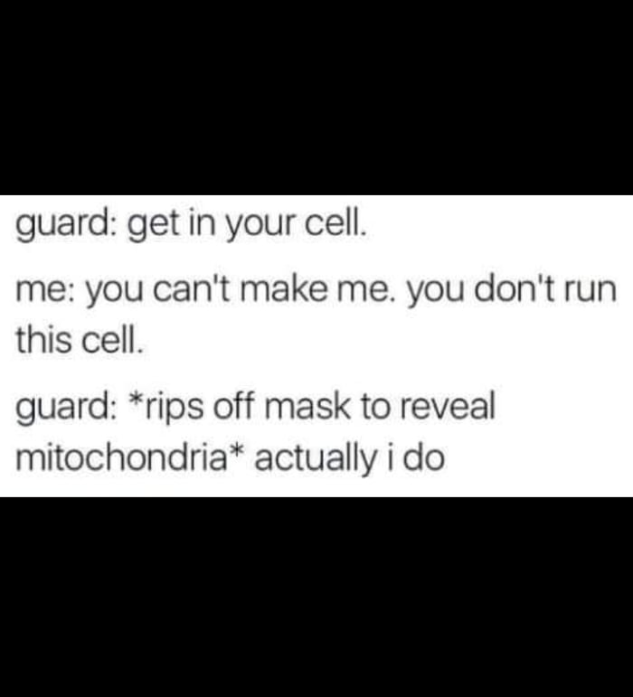 Powerhouse Of the Cell