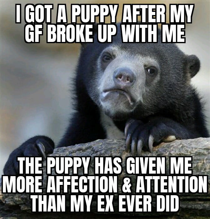 Ex asked if we could get back together,but the pupper made m