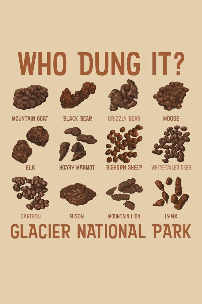 What dung are you?