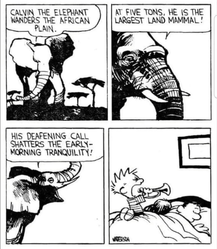 Have some Calvin and Hobbes