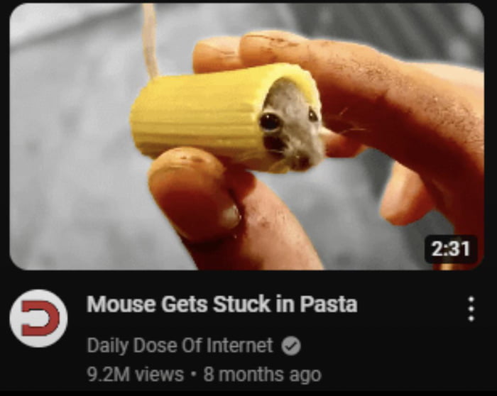 Mouse stuck in pasta