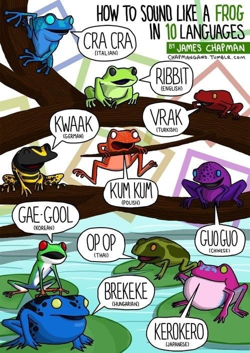 Frog Rosetta Stone