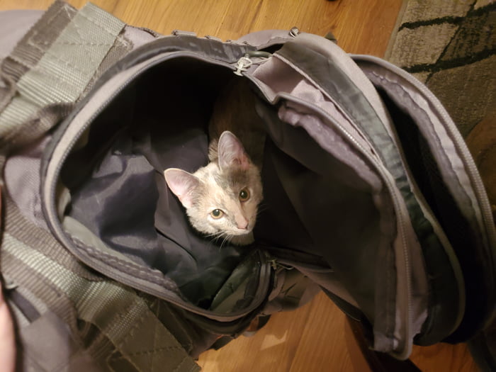 Ruby Trying to Leave With Me For Work