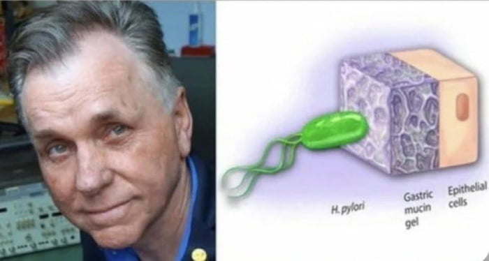 Dr. Barry J. Marshall was convinced that H. pylori bacteria 