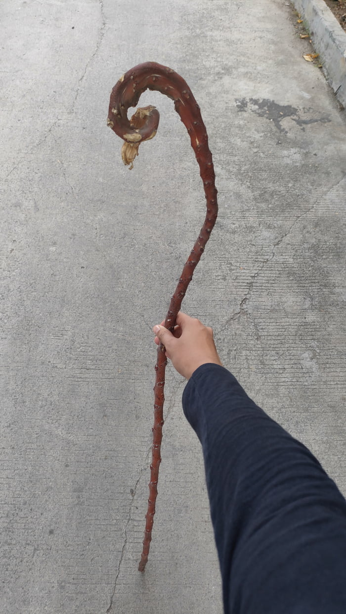Just found this staff. Am i a wizard now?
