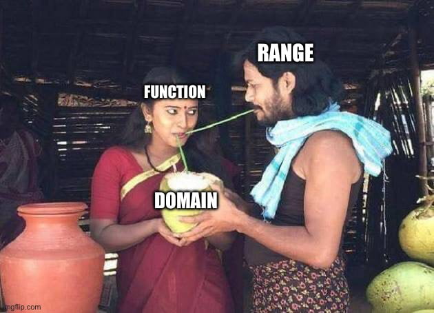 Domain of a function meme Image