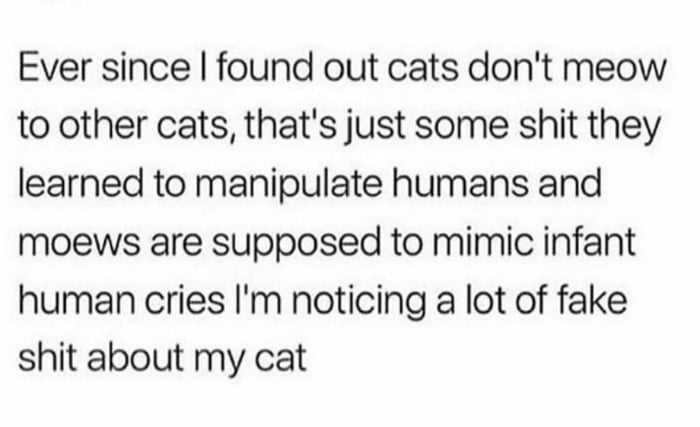 Cats