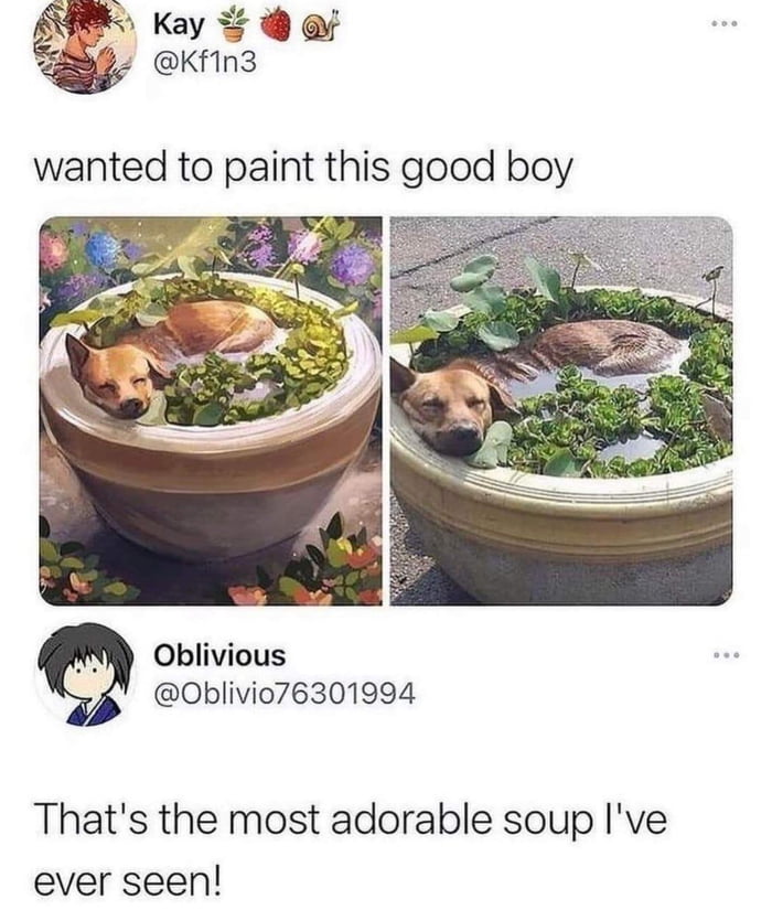 Cursed Soup