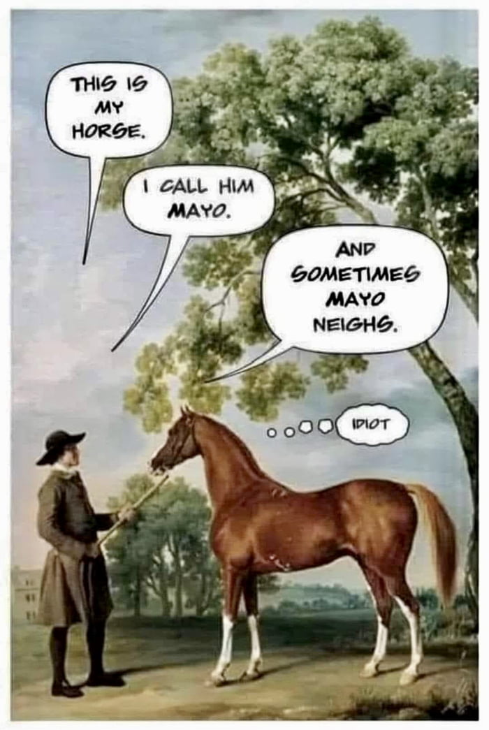 That horse is right