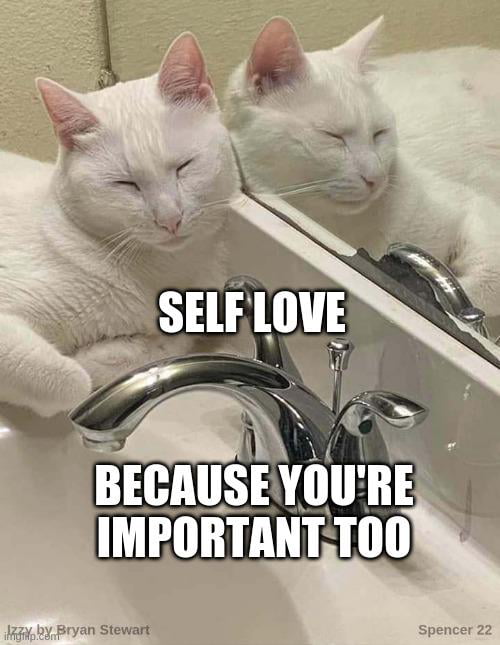 A gentle reminder that self love is important too.. your par Image
