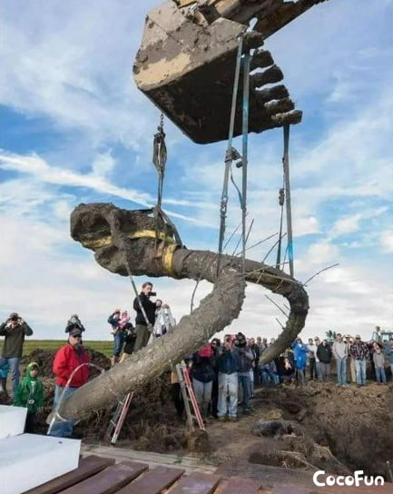 A woolly mammoth skull was found in a farmer’s field in Li
