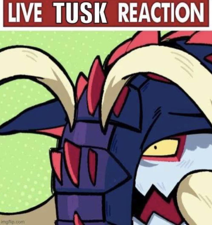 Live tusk reaction to learning about Christmas