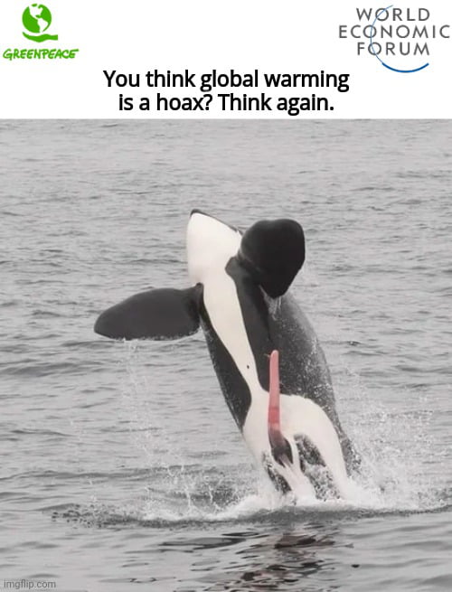 The oceans must be getting warmer.. Image