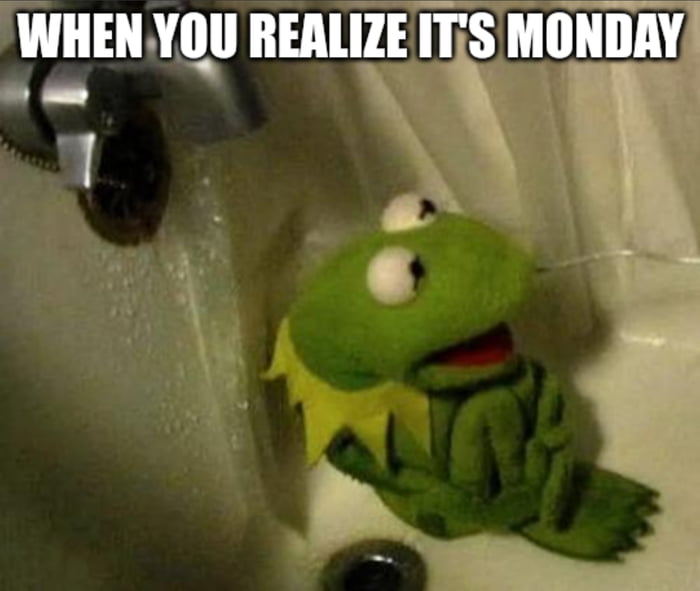 Monday *cries*