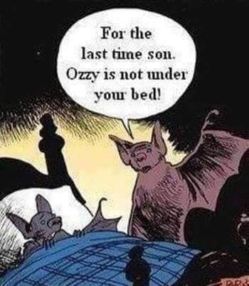 The horror of bats