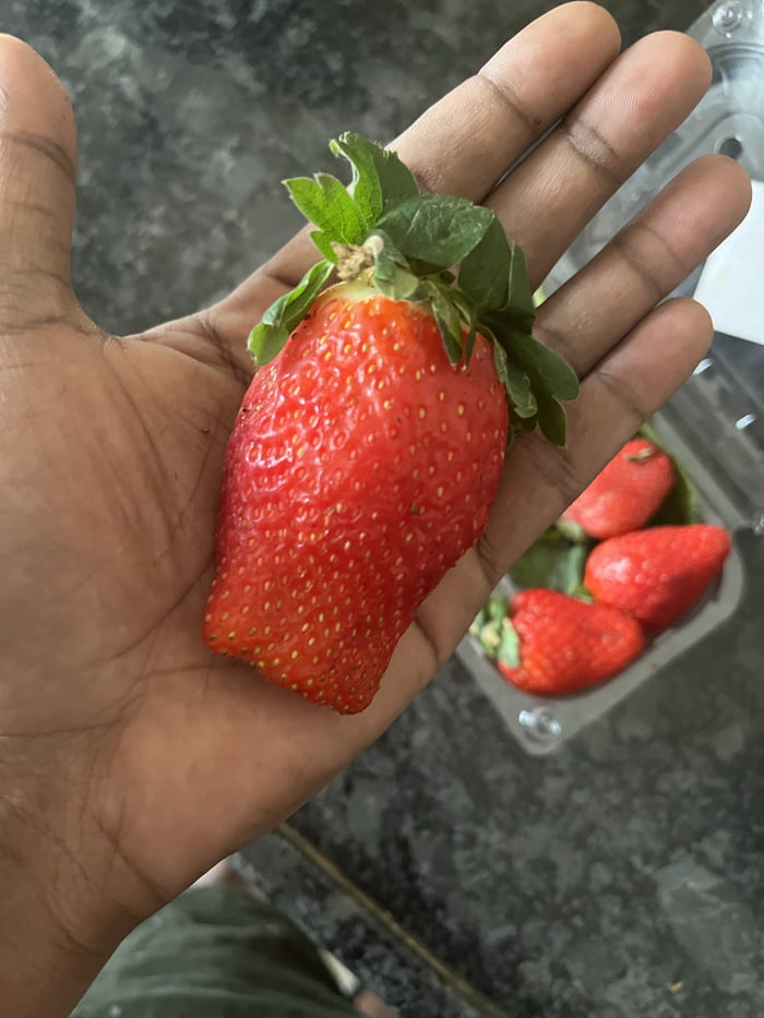 Big ass strawberry 🍓 Image