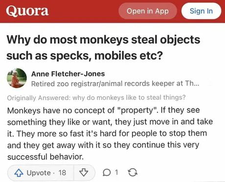 Monkey see monkey doo doo