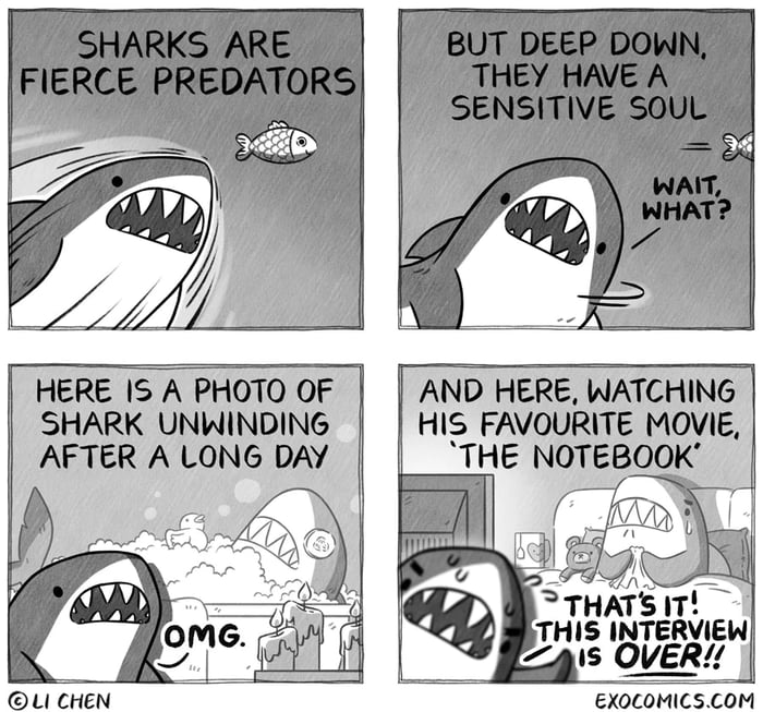 Sharks Image