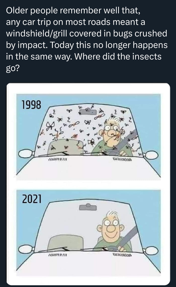 Where are the insects?