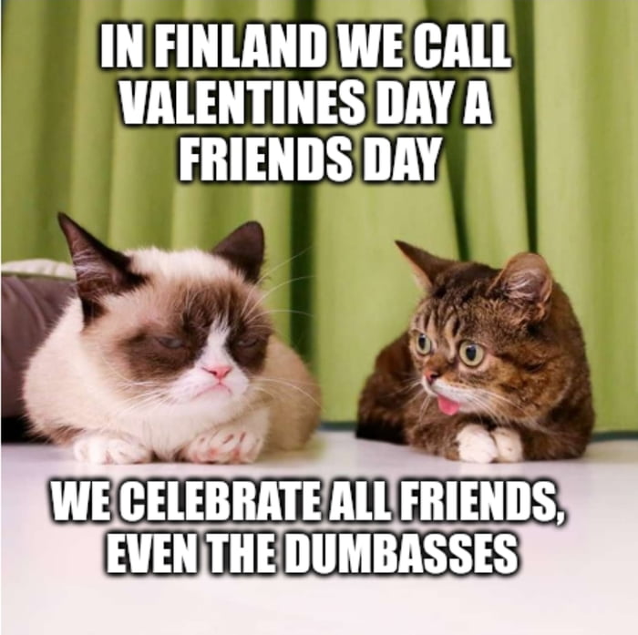 Finns: practical, lazy or non-romantic? (Or just a bunch of  Image
