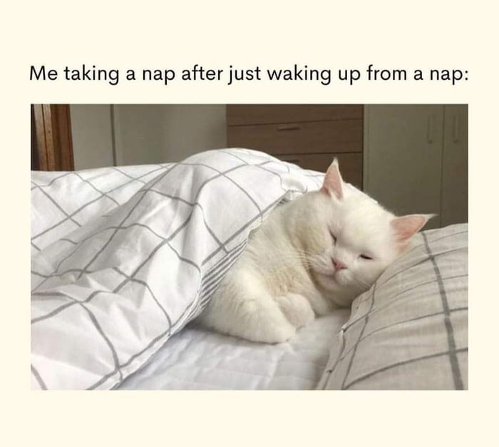 And also feel tired after 12 hours of nap time. Image