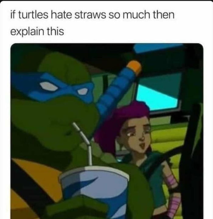 TMNT cant be wrong